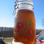 Light amber maple syrup