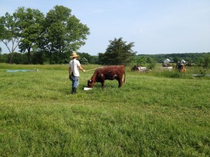 Fred's first week  working with Momma. 